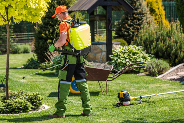 Outdoor Pest Control in Liberty Lake, WA